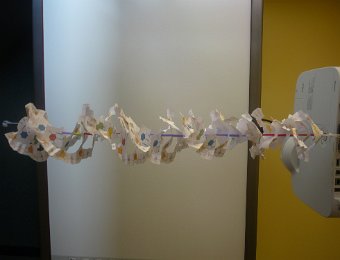 DNA model